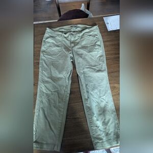 Torrid Women's Sage Green Straight Leg Pants